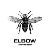 Roll Call - elbow