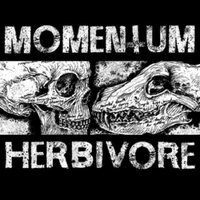 Insensitive - Momentum
