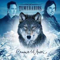 Todo Me Recuerda a Ti - Los Temerarios