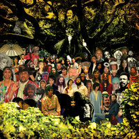 Some People Ride The Wave - Devendra Banhart