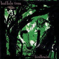 Guy Who Is Me - Buffalo Tom