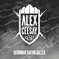 Hela min klick - Alex Ceesay, Salle
