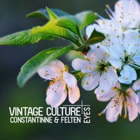 Eyes - Vintage Culture, Constantinne, Felten