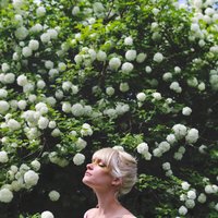 Doers & Dreamers - Pink Feathers