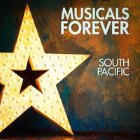 Some Enchanted Evening - Broadway Musicals