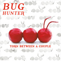 Yes (Or No) - Bug Hunter