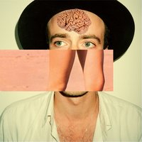 Don't Let The Same Bee Sting You Twice - The Veils