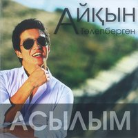 Жалғыз сен - Айкын Толепберген