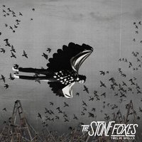 Count Me As One - The Stone Foxes