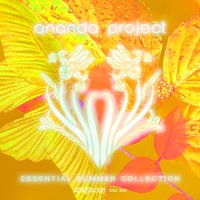 Cascades of Colour - Ananda Project