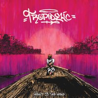 Highs and Lows - Tropidelic