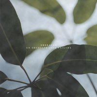 Hold My Hand - Embraced