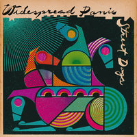 Steven’s Cat - Widespread Panic