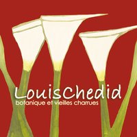 Ces mots sont pour toi - Louis Chedid