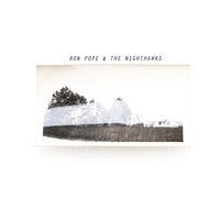 Take Me Home - Ron Pope