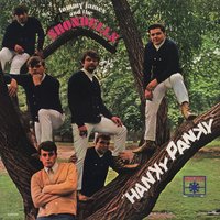 I'm so Proud - Tommy James