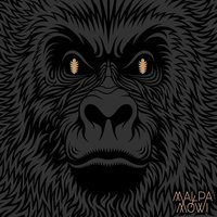 Satelity - Małpa, The Returners