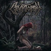 Detritus (The One They Kept) - Cryptopsy