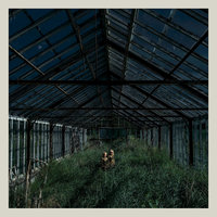 Night Channels - Foxing