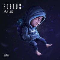 Pas comme vous - Walid