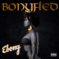 Turn on the Light - Ebony