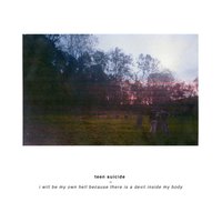 if i cleaned everything - Teen Suicide