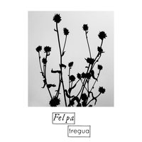 Ancora - Felpa