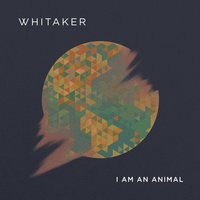 When My Love Won't Stick to You - Whitaker