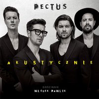 Oceany - Pectus