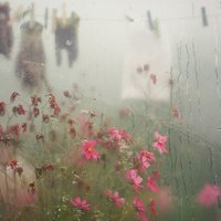 Voice of Dog - Scott James