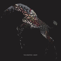 How It Happened To Me - The Giraffes