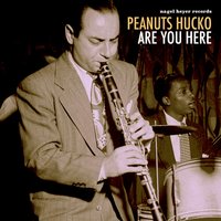 You Took Advantage of Me - Peanuts Hucko