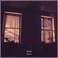 Camera Lens II - Petal