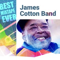 James Cotton Band