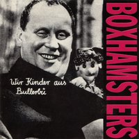 Herzblut - Boxhamsters