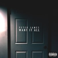 Want It All - Peter James