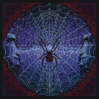 Restless Wind - The String Cheese Incident