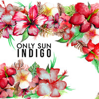 Indigo - Only Sun