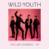 Drinking About You - Wild Youth