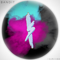 Bandit - I Survived