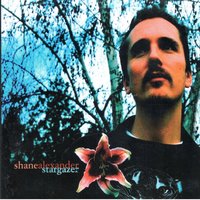 Spaces in Between - Shane Alexander
