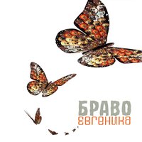 Маленький помощник весны - Браво