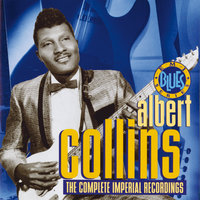 Do What You Want To Do - Albert Collins