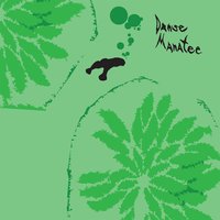 In The Singing Box - Animal Collective
