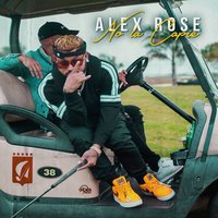No la Capie - Alex Rose