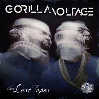 What's Real? - Gorilla Voltage