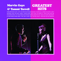 The Onion Song - Marvin Gaye, Tammi Terrell