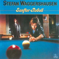 Wenn der Blitz Dich trifft - Stefan Waggershausen, Stefan Waggerhausen