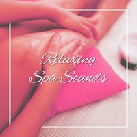 Wellness - Spa Zen