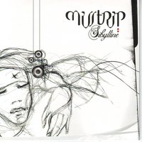 Misstrip